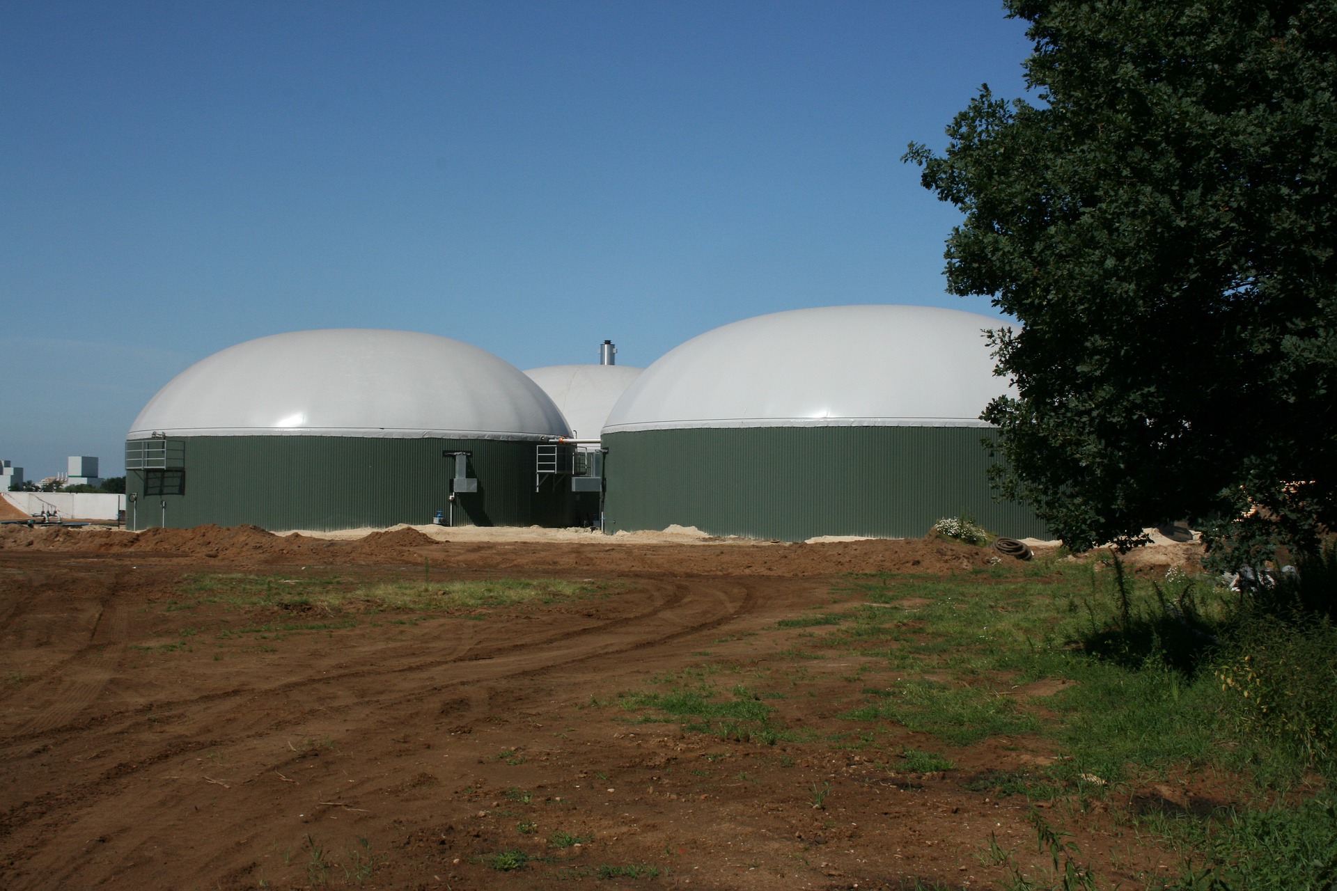 biogaz szansą dla rolnictwa