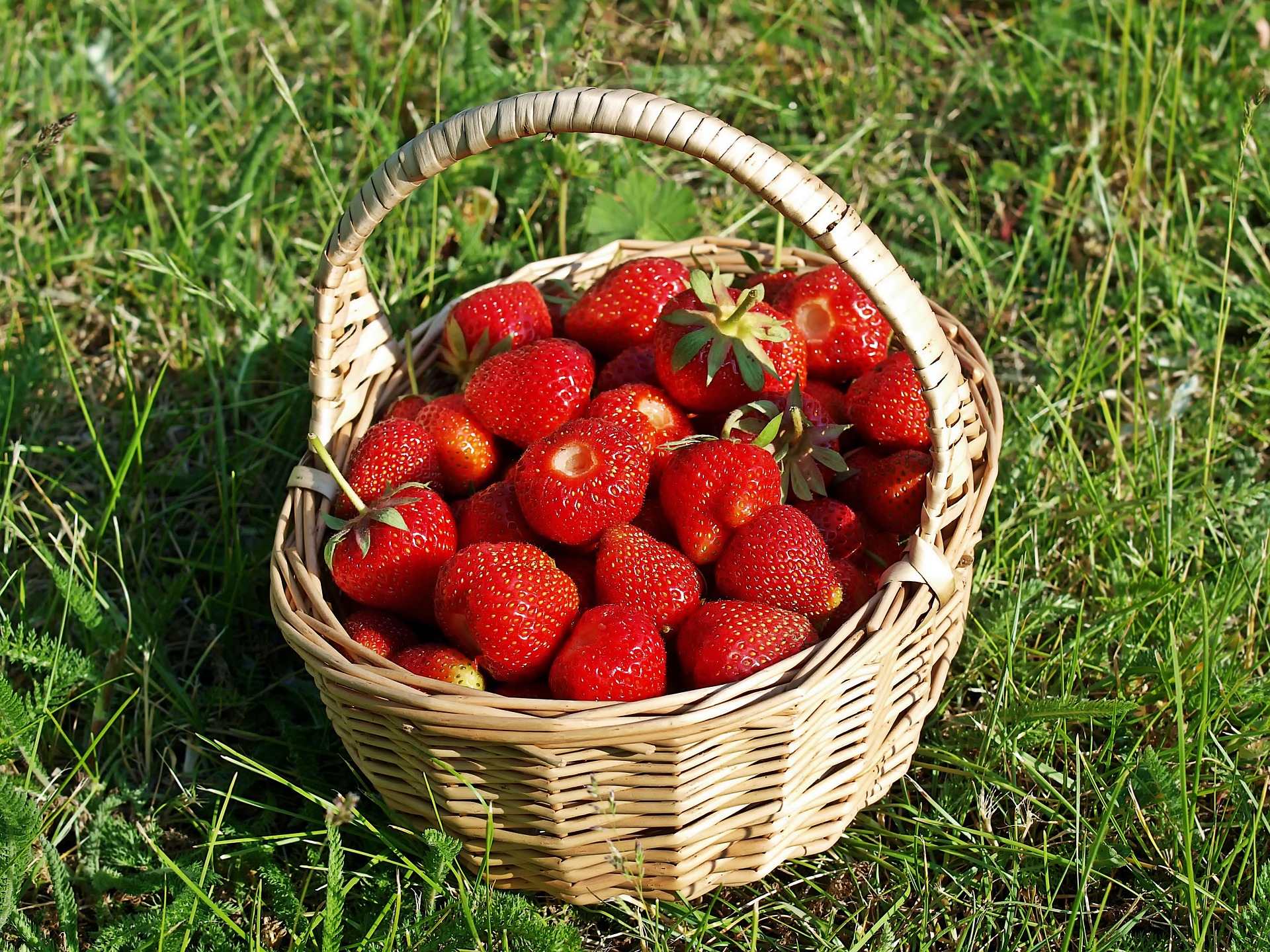 truskawki eko strawberries-ga6ce41b90_1920