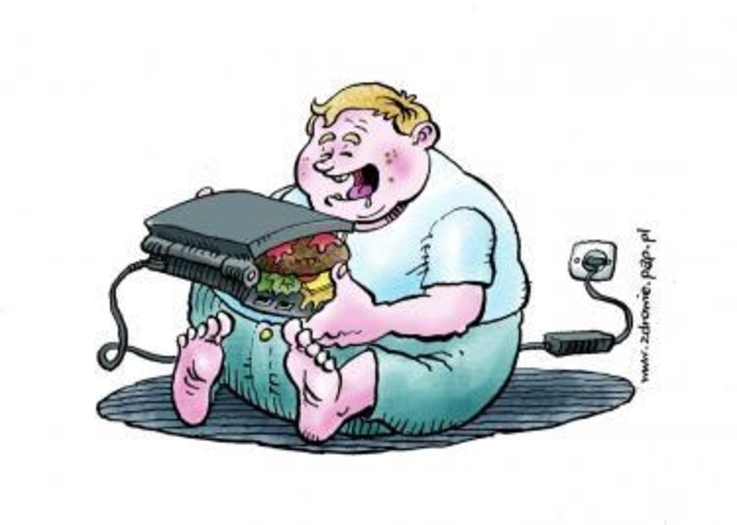otyłość zdrowie styl życia