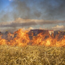 pożar trawa strażak wypalanie traw
