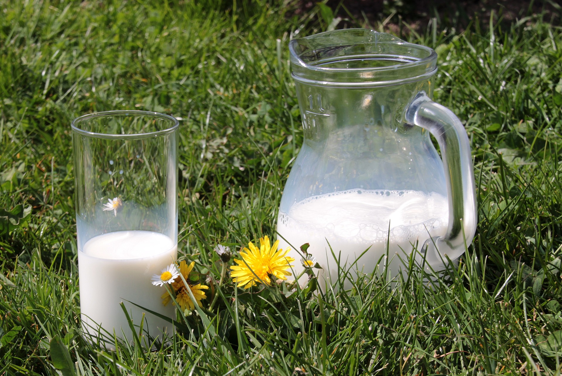 mleko szklanka dzban zdrowe