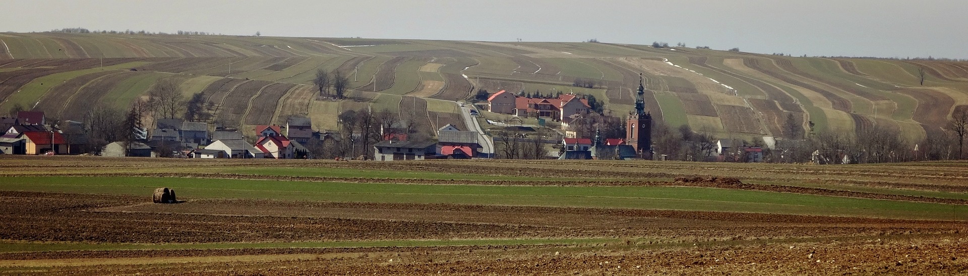polska wieś krajobraz pole