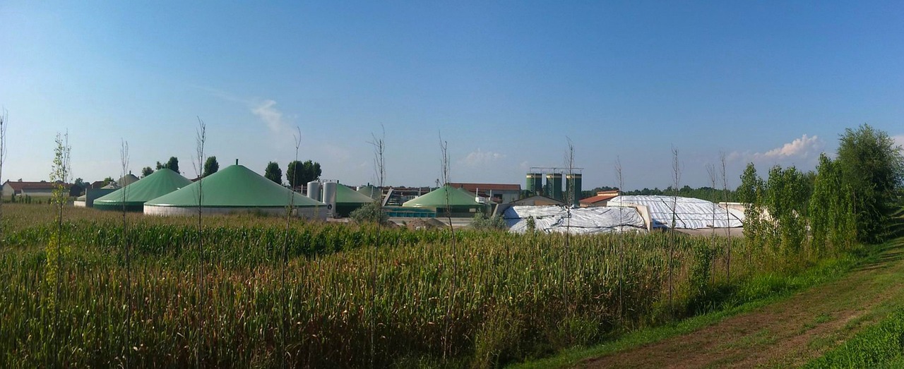 biogazownia uprawy