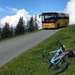 autobus rower