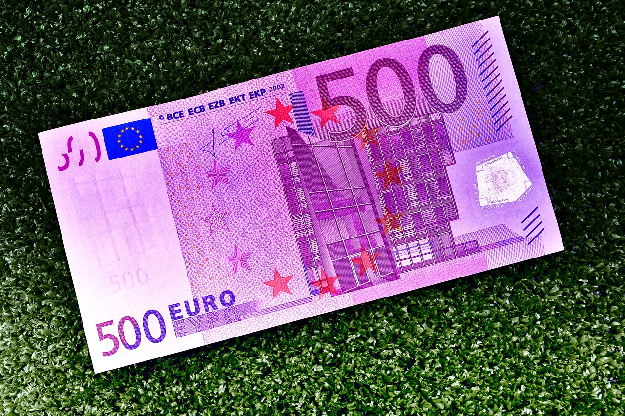 euro banknot na trawie