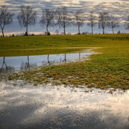 powódź łąka zalana